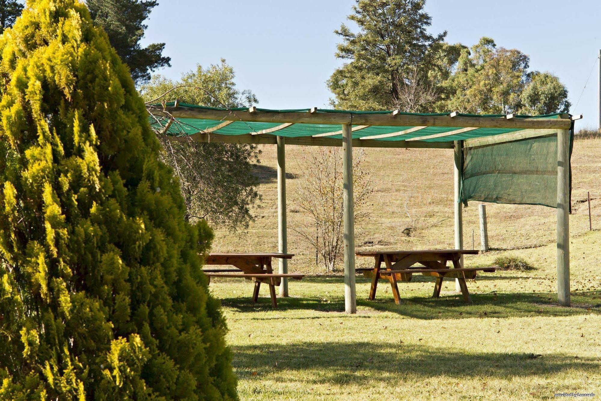 Hilltops Retreat Motor Inn Young Restaurant bilde